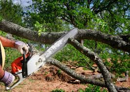 Best Emergency Tree Removal  in Irwin, PA